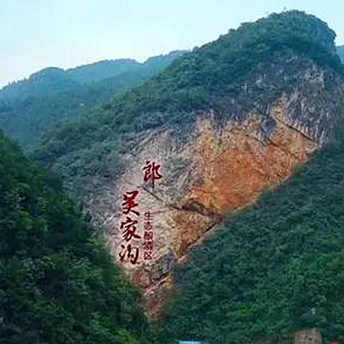 [정품]랑주, 랑패특곡 T8(郎酒. 郎牌特曲 T8) 500ml, 42% / 50%Vol